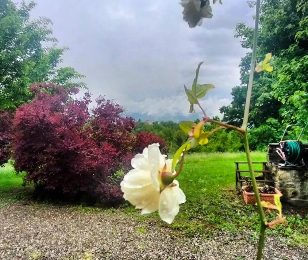 Casale Sambuceto Country House Compiano 0*,  Italy