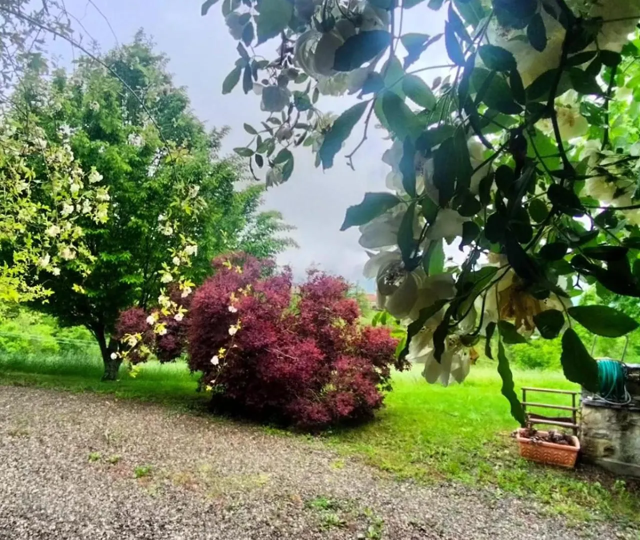 Bed & Breakfast Casale Sambuceto Country House Compiano Italy