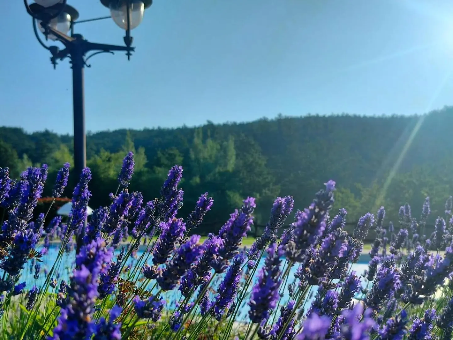 Casale Sambuceto Panzió Compiano Olaszország
